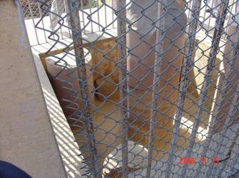 Y:\20 Ƭ--ӡȫ\07 ת--¹ҰԷ ӭ  ɮԺ\ż 200611\ʯ1.JPG