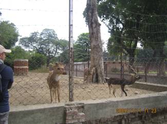 Y:\20 Ƭ-2009-11-03 india\\30 ¹ҰԷ_981111\IMG_2883.JPG