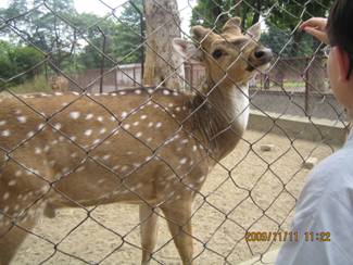 Y:\20 Ƭ-2009-11-03 india\\30 ¹ҰԷ_981111\IMG_2875.JPG