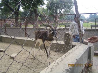 Y:\20 Ƭ-2009-11-03 india\\30 ¹ҰԷ_981111\IMG_2876.JPG