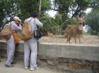 Y:\20 Ƭ-2009-11-03 india\\30 ¹ҰԷ_981111\IMG_2880.JPG