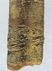 rg2.jpg (61597 �ֽ�)